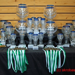Acro Cup Albershausen