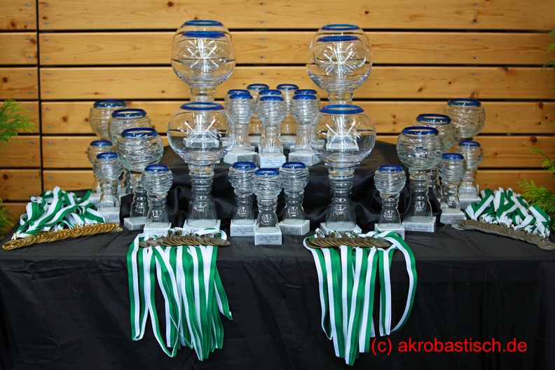 15-acro-cup IMG 1973